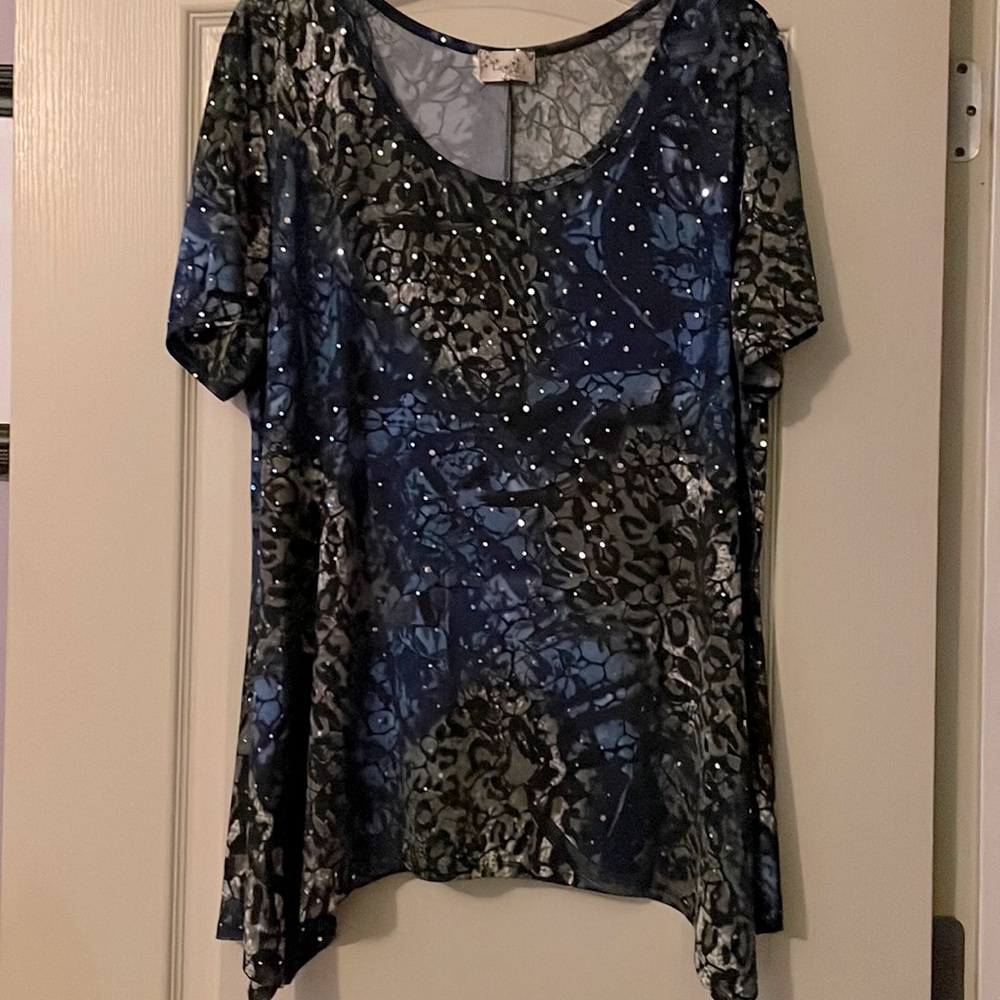 Lavish Sparkling Blouse sz.2X